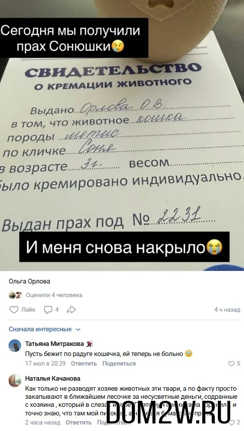 Ольга Орлова