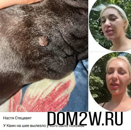 Анастасия Стецевят